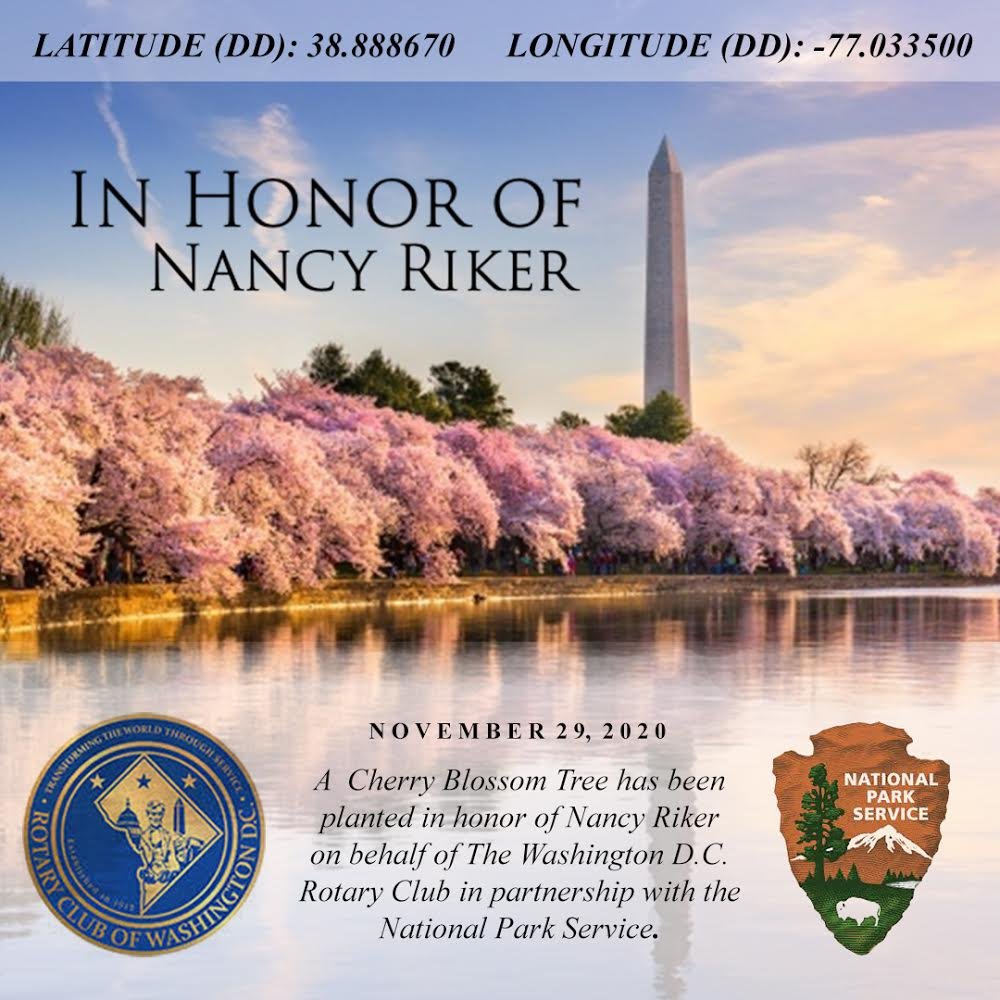 Commemorative planting graphic — a cherry blossom tree planted in honor of Nancy Riker