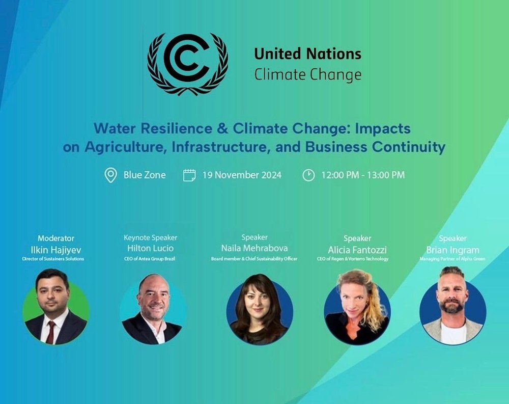 UN Climate Change COP29 Blue Zone panel