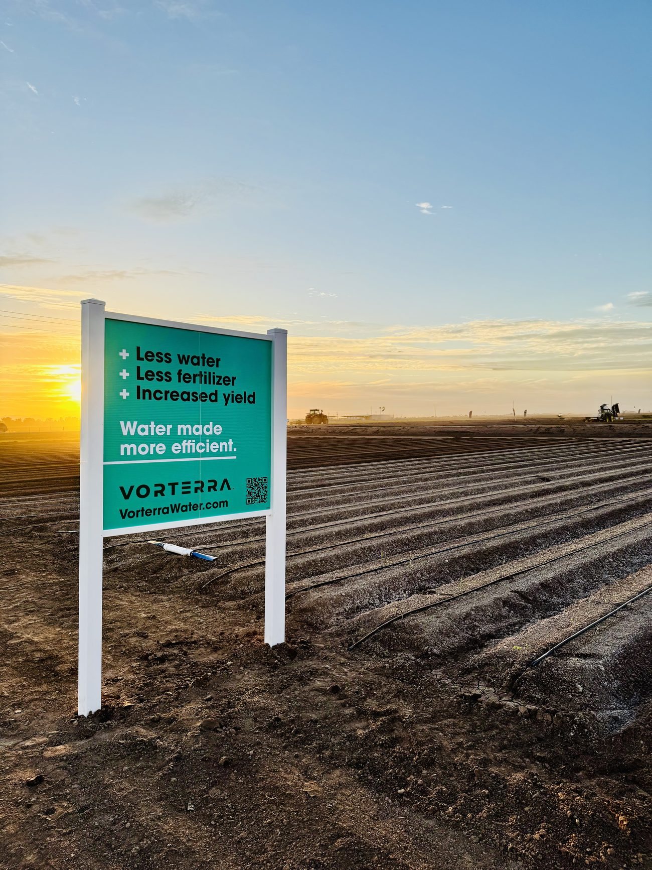 Vorterra field installation at sunrise